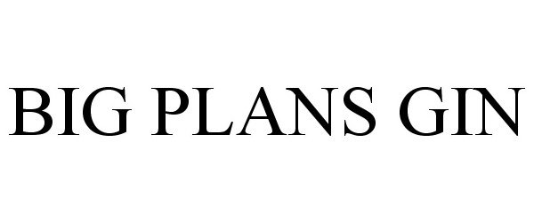Trademark Logo BIG PLANS GIN