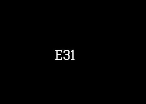  E31