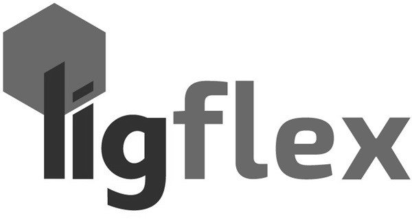 Trademark Logo LIGFLEX