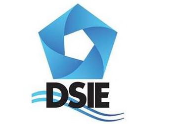 Trademark Logo DSIE