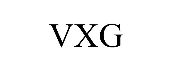 Trademark Logo VXG