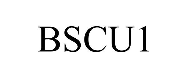  BSCU1