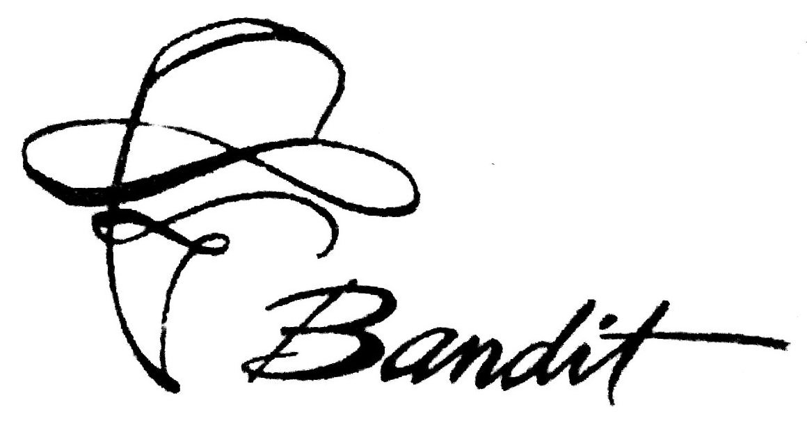 Trademark Logo BANDIT