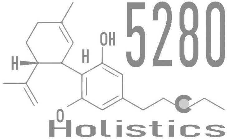 Trademark Logo 5280 HOLISTICS H H OH O C