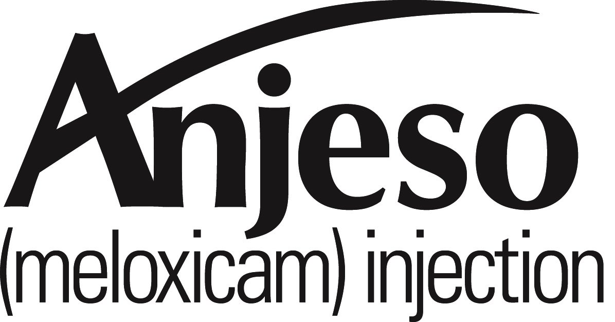 Trademark Logo ANJESO (MELOXICAM) INJECTION