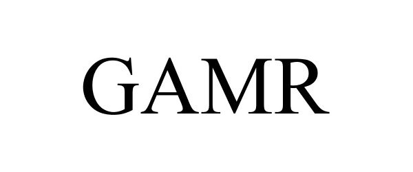 Trademark Logo GAMR