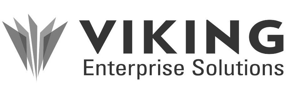 VIKING ENTERPRISE SOLUTIONS