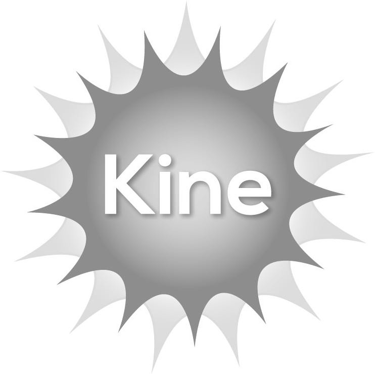 Trademark Logo KINE