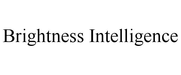 Trademark Logo BRIGHTNESS INTELLIGENCE
