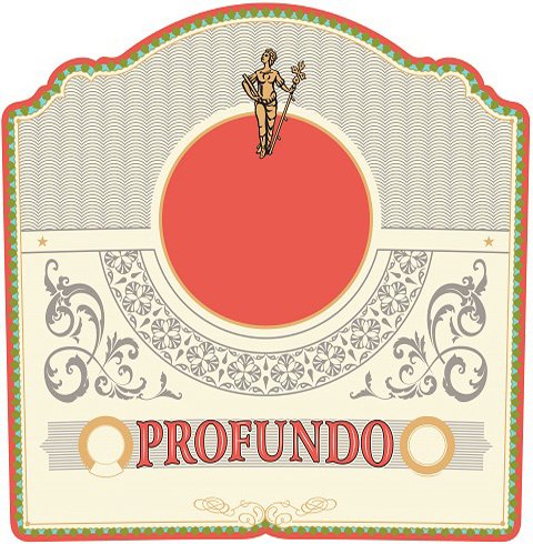 Trademark Logo PROFUNDO