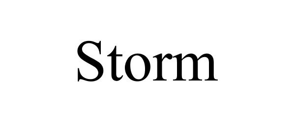 Trademark Logo STORM