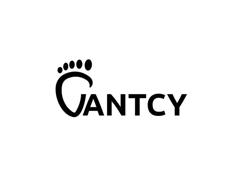 Trademark Logo VANTCY