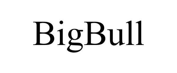  BIGBULL