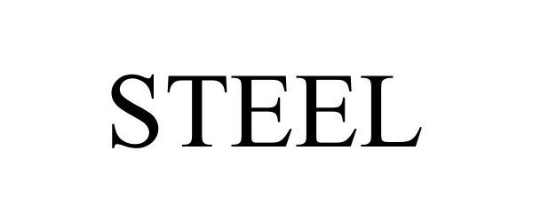 Trademark Logo STEEL