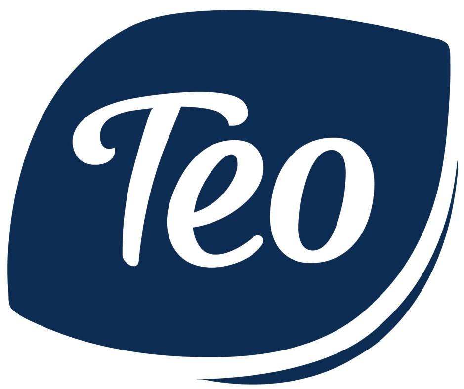 Trademark Logo TEO