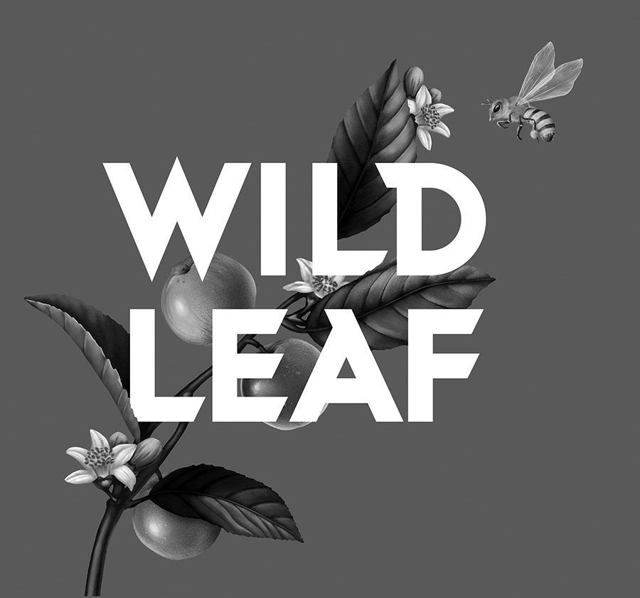 Trademark Logo WILD LEAF