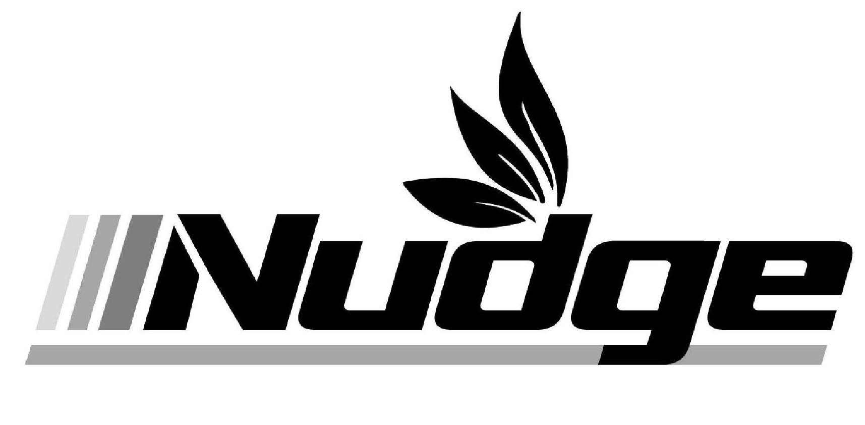 Trademark Logo NUDGE