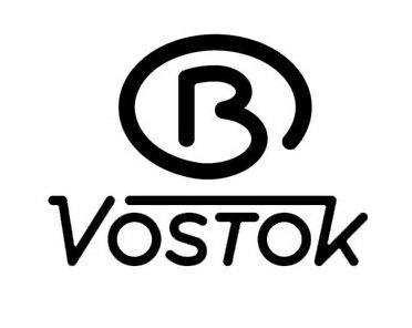 Trademark Logo B VOSTOK