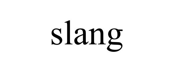 Trademark Logo SLANG