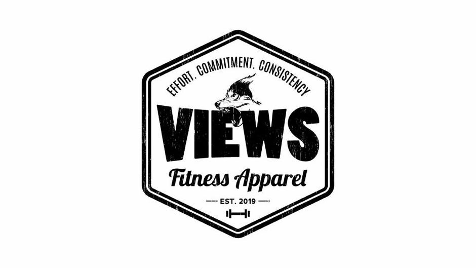 Trademark Logo VIEWS FITNESS APPAREL EFFORT. COMMITMENT. CONSISTENCY EST. 2019