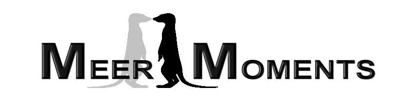 Trademark Logo MEER MOMENTS