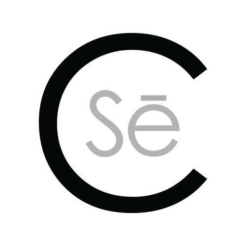 Trademark Logo CSE