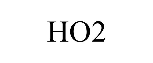 Trademark Logo HO2