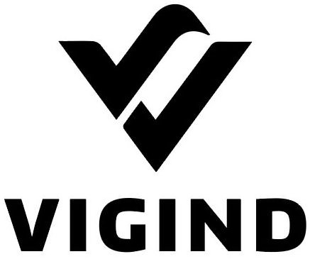  VIGIND