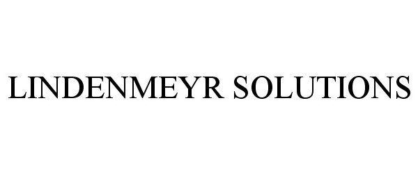  LINDENMEYR SOLUTIONS