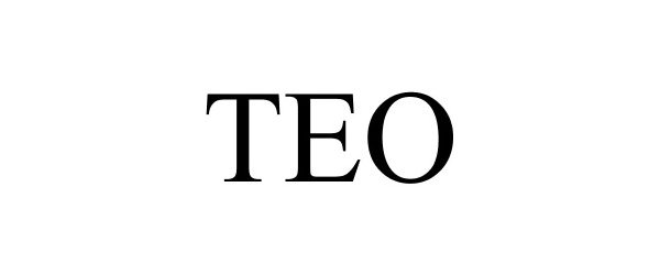 Trademark Logo TEO