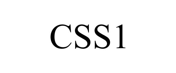  CSS1