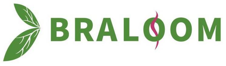 Trademark Logo BRALOOM