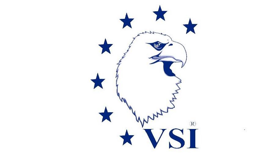 Trademark Logo VSI