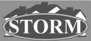 Trademark Logo STORM