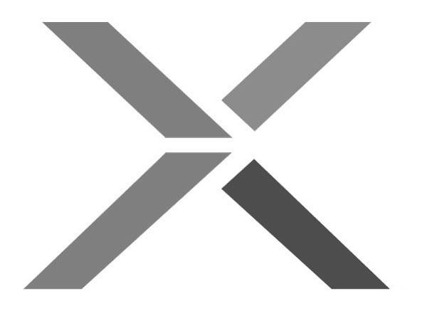 Trademark Logo X
