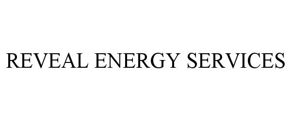  REVEAL ENERGY SERVICES