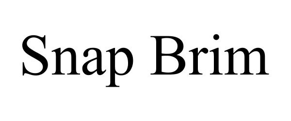 Trademark Logo SNAP BRIM