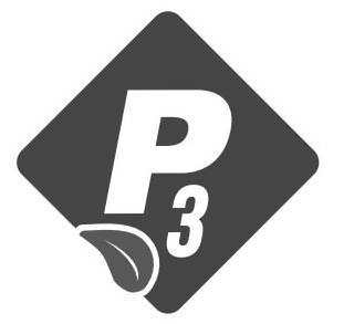P3