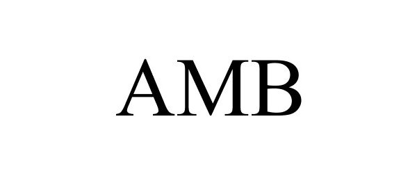  AMB