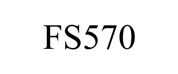  FS570