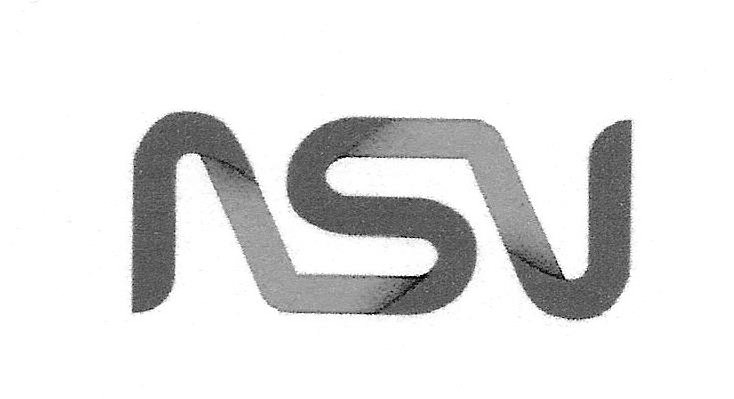 Trademark Logo NSV