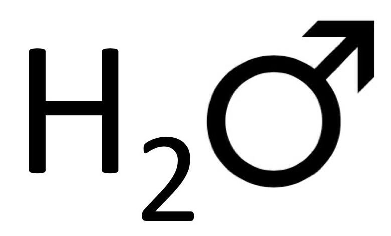 Trademark Logo H2