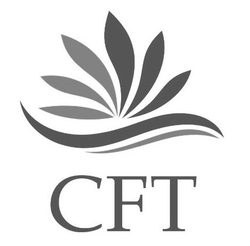 Trademark Logo CFT