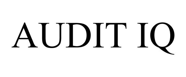  AUDIT IQ