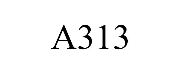 Trademark Logo A313