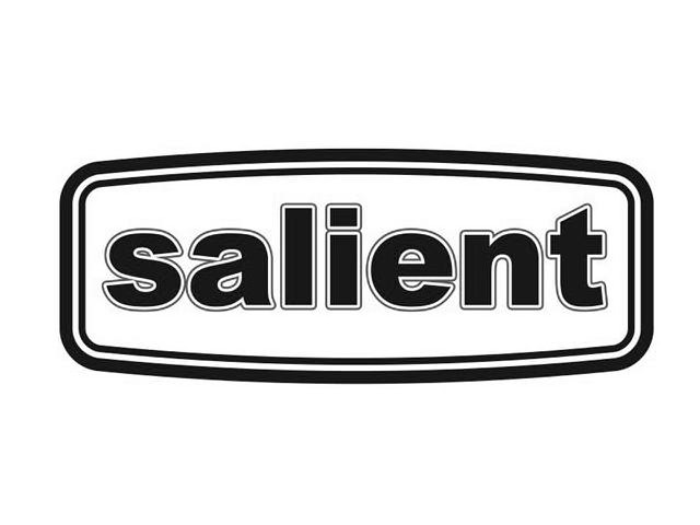 Trademark Logo SALIENT