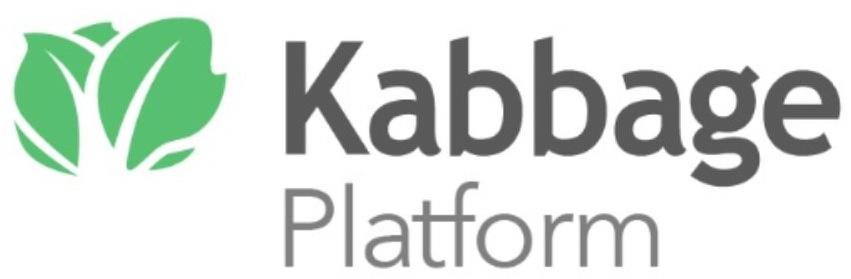  KABBAGE PLATFORM