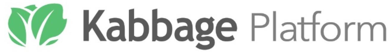 KABBAGE PLATFORM