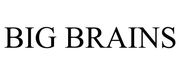 Trademark Logo BIG BRAINS