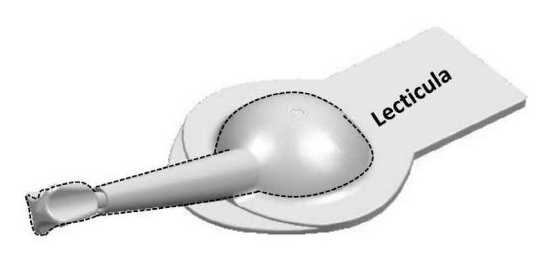 Trademark Logo LECTICULA